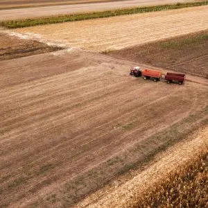 Agriculture, Forestry & Fishing